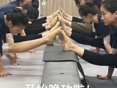 零基础成人舞蹈班免费视频教程全集