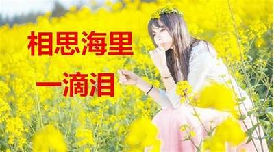 成人夜片免费版在线观看